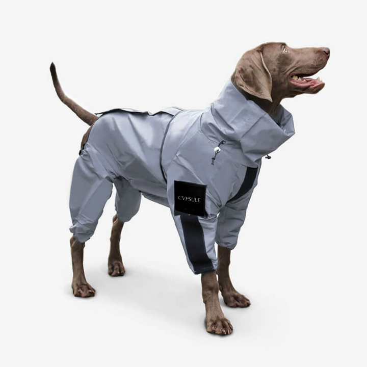 CVPSULE™ | Reflective All-Seasons Waterproof Dog Rain Coat