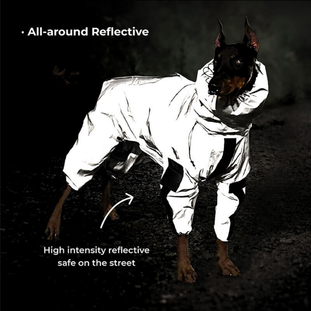 CVPSULE™ | Reflective All-Seasons Waterproof Dog Rain Coat