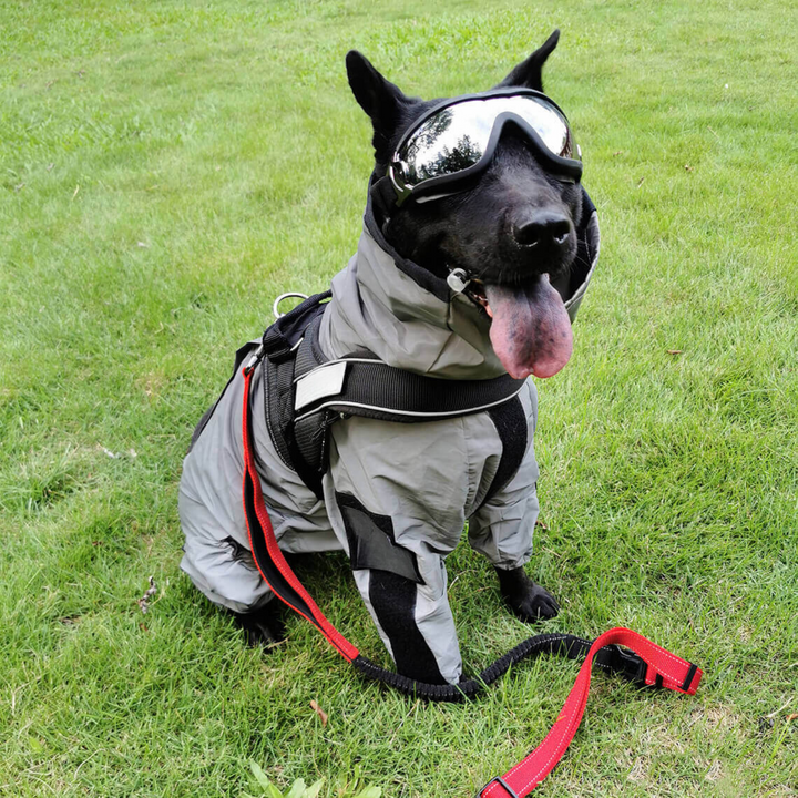 CVPSULE™ | Reflective All-Seasons Waterproof Dog Rain Coat