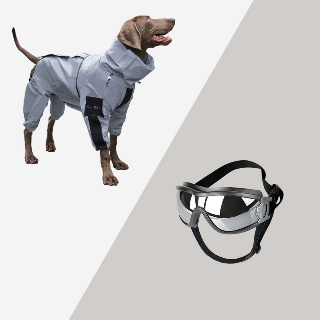 CVPSULE™ | Reflective All-Seasons Waterproof Dog Rain Coat