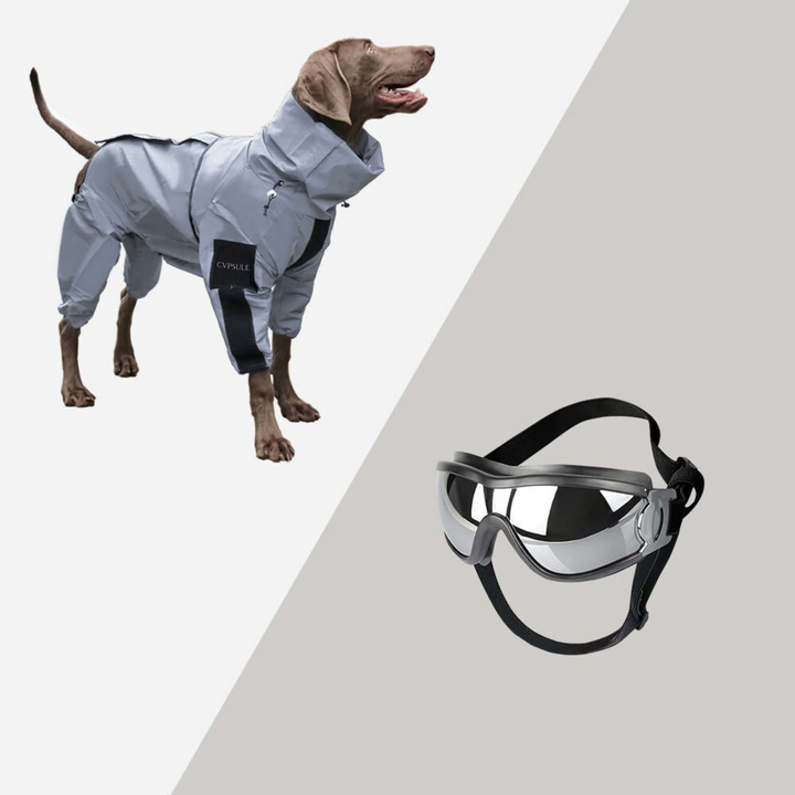 CVPSULE™ | Reflective All-Seasons Waterproof Dog Rain Coat