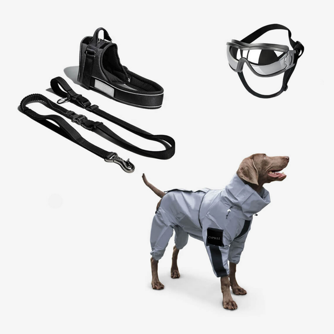 CVPSULE™ | Reflective All-Seasons Waterproof Dog Rain Coat