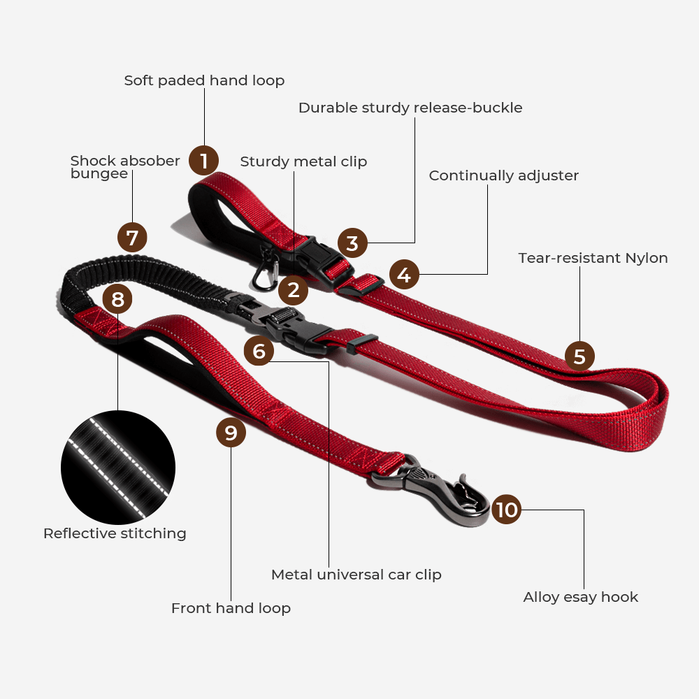 CVPSULE™ | Reflective All-Seasons Waterproof Dog Rain Coat